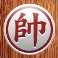 br4bet casino截图